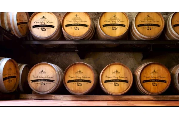 Five Pawns Castle Long Likit İncelemesi