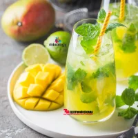 Mixology E-Likit Aroması Mango Mojito 10ml