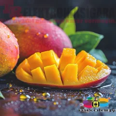 Mixology E-Likit Aroması Cushman 10ml