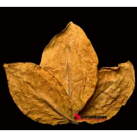 Mixology E-Likit Aroması Parliament 10ml