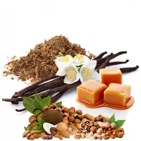 Mixology E-Likit Aroması Prime 10ml