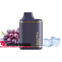 Saltica Leather 7000 Puff Bar 50mg Nikotin Grape İce